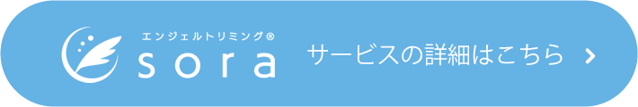 サービスの詳細はこちら